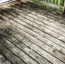 Before pressure washing - patio